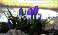 “珠”梦绿茵	！面向全珠海
，征集足球相关作品！