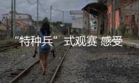 快排公司十年历程，霸屏兔 seo 的崛起与坚守