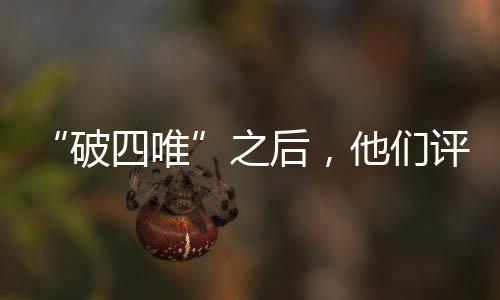 上高专家组评审和综合评议