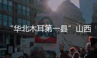 “华北木耳第一县”山西中阳：黑木耳成“富民恒业”