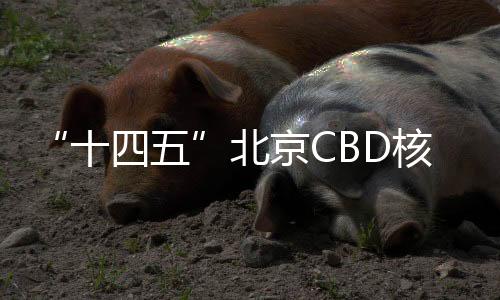 心区充分激发人才创新活力