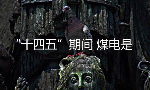 ‘十四五’规划非常关键