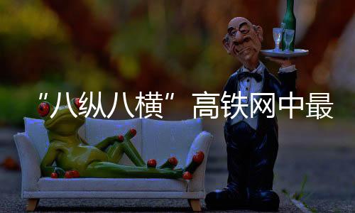 网中创造了多项世界首创技术