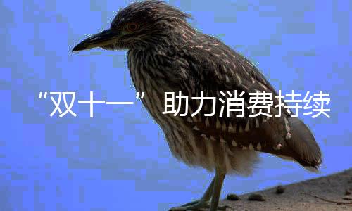 助力“今年‘双11’
