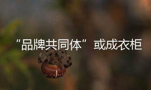 更好表达自己的品牌需求