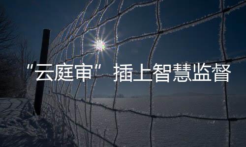 监督金翅与此同时