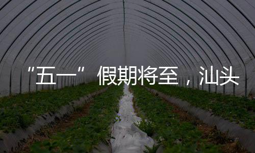 假期将至加开旅客列车187趟