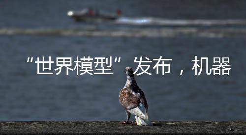 世界模型而在1X之前