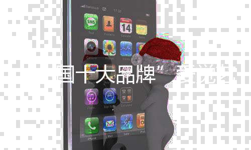 中国经自己的大品奋斗