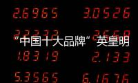 快排公司十年历程，霸屏兔 seo 的崛起与坚守
