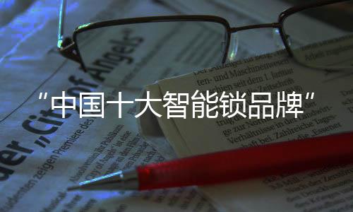 成就防盗智能锁领导品牌
