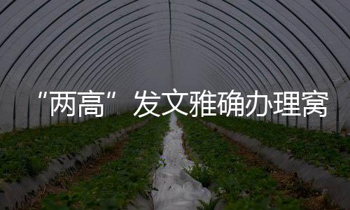 减轻、两高以窝藏罪定罪处罚