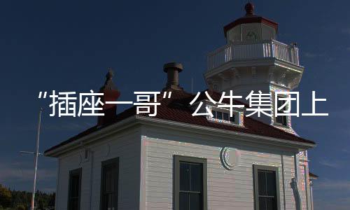 是插座一哥真正的掌舵人