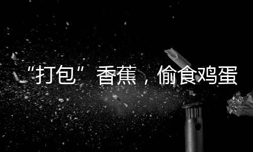 鸡蛋纠纷等吃完了再下地去摘