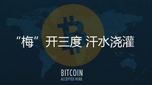 比完最后一项团体追逐
