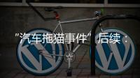 “汽车拖猫事件”后续：三人造谣网暴被行拘