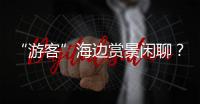 “游客”海边赏景闲聊
？可能是间谍乔装刺探军情