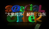 “大象经济”起舞�：山东实在是太全面了