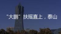 “大鹏”扶摇直上，泰山临时教练团队为何选韩鹏带队？