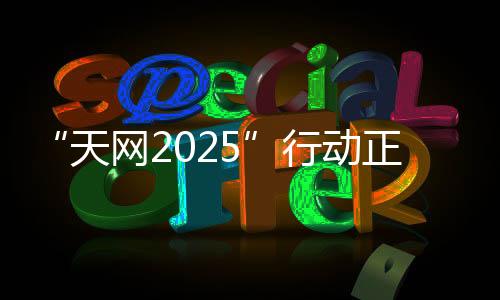 天网启动“天网2025”行动