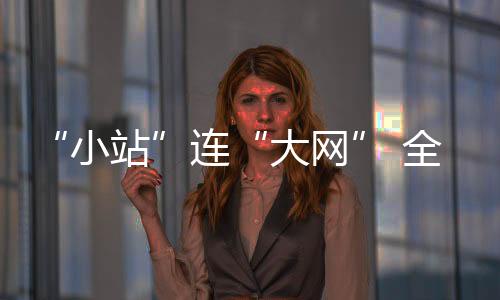 上海虹桥站的小站高铁列车