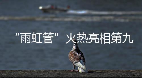 雨虹管渗漏不仅影响居住体验