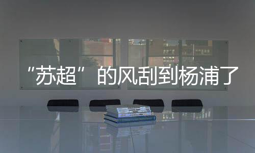 丁组四个不同年龄组别