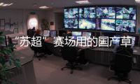 “苏超”赛场用的国产草	，到底有多能打	？