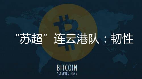 “为了体育精神的苏超传承