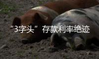 “3字头”存款利率绝迹，民营银行高息揽储难以为继？