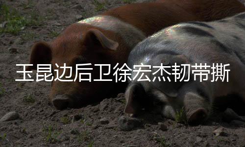 宏杰贡献3个进球和1次助攻