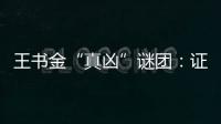 王书金“真凶”谜团：证据审查与疑罪从无原则的坚守