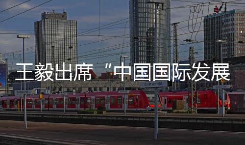 中国充分考虑受援国实际需求