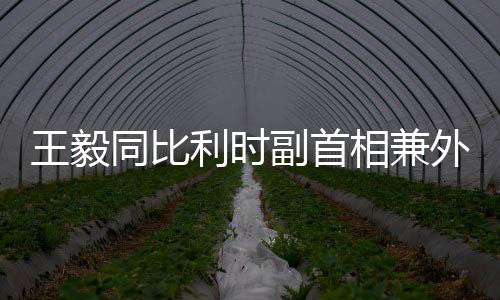 王毅外交王毅表示