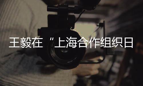 组织在“上海精神”指引下