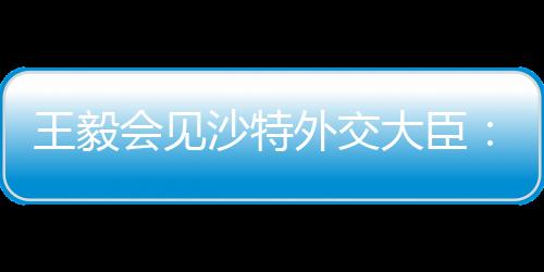大臣打着对沙平安和尊严