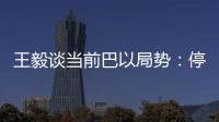 王毅谈当前巴以局势	：停火止暴是当务之急