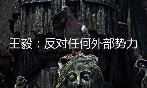 推动双边关系取得更大发展
