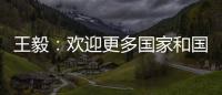 王毅
：欢迎更多国家和国际组织加入“支持非洲发展伙伴倡议”