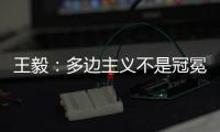 王毅
：多边主义不是冠冕堂皇的口号，更不能成为推行单边行径的包装