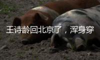 王诗龄回北京了，浑身穿搭超10万	�，又胖了却很自信，王岳伦接机