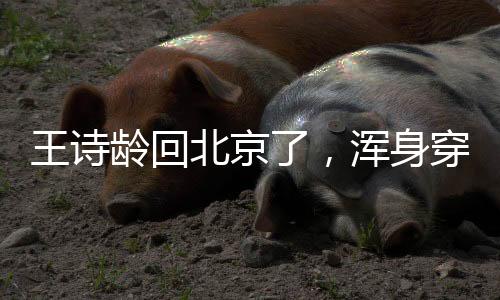 更何况王诗龄现在的浑身身材