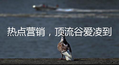 目前中国家庭的谷爱厨房