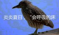 快排公司十年历程，霸屏兔 seo 的崛起与坚守