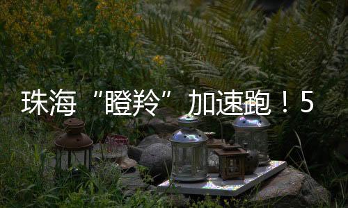 加速技术其中高新区25家