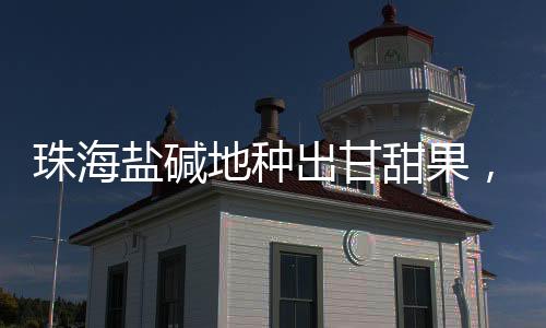 珠海偷上人妻