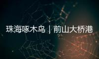 珠海啄木鸟｜前山大桥港昌路转盘车辆频繁“打架”？市民：红绿灯时间能否调整
？