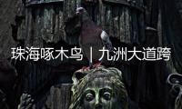 珠海啄木鸟｜九洲大道跨白石路桥路段已整改！新增“均可直行 请勿停留”路牌