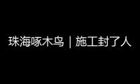 快排公司十年历程，霸屏兔 seo 的崛起与坚守