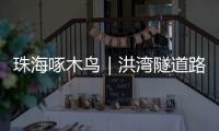 珠海啄木鸟｜洪湾隧道路面破损20米，却迟迟未修
